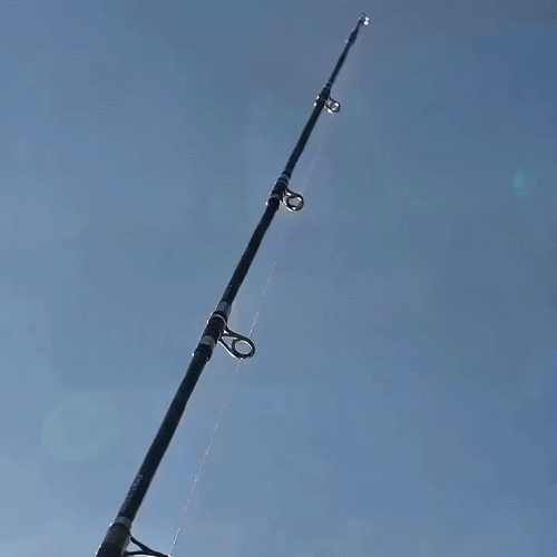🎣Professional Fishing Rod and Reel Combo Set