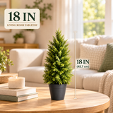 🌿 Tabletop Accent — 18 IN