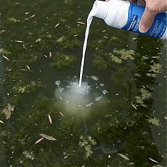 Pool Water Purifier Liquid