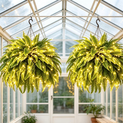 🌿 Glowing 88-Branch Boston Ferns with Lights – 48" long • 30" wide Zero Watering, Zero Maintenance
