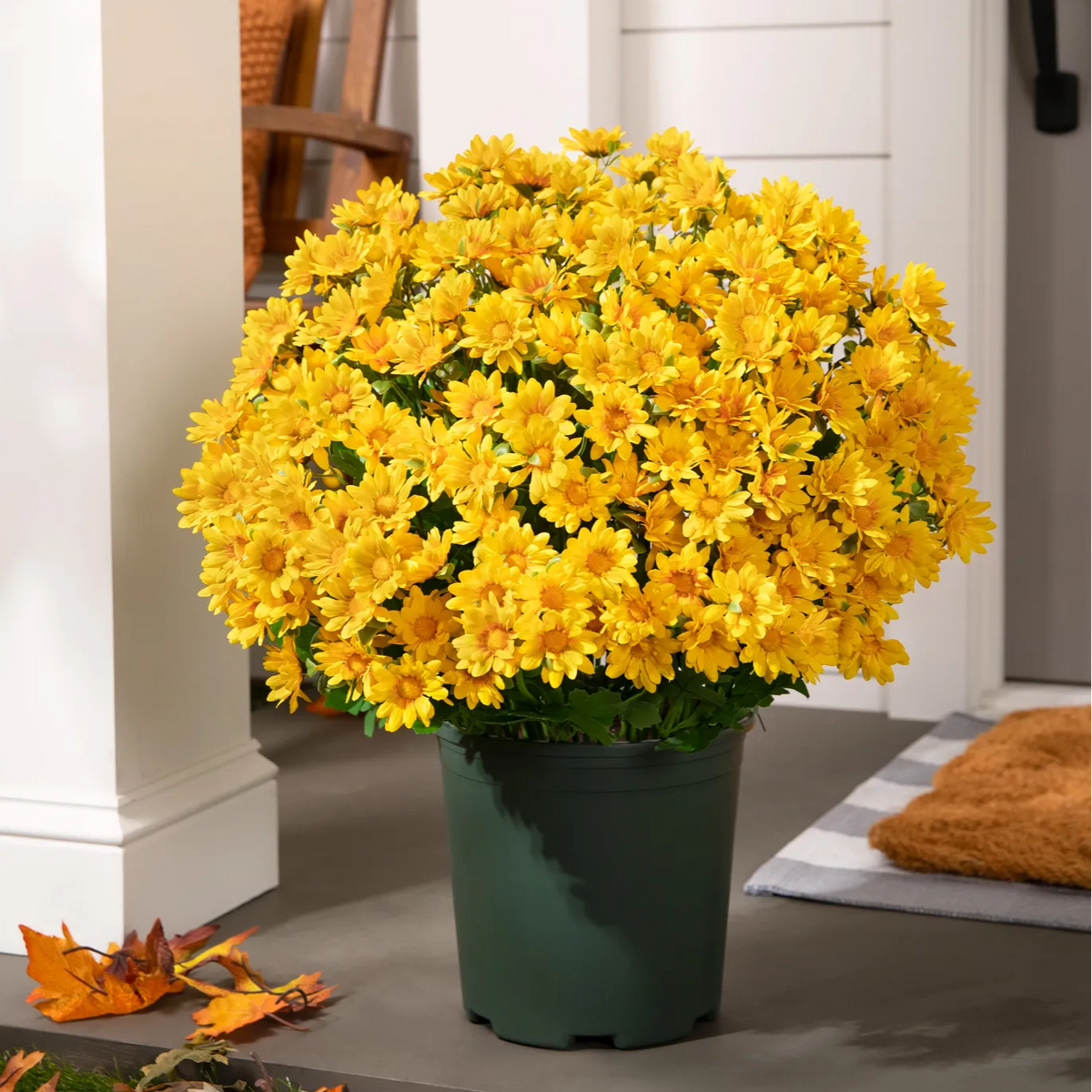 💥Limited stock 🌼- Artificial Outdoor Sunset Mums Flowers - UV resistant, Waterproof, Windproof