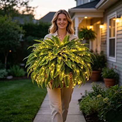 🌿 Glowing 88-Branch Boston Ferns with Lights – 48" long • 30" wide Zero Watering, Zero Maintenance