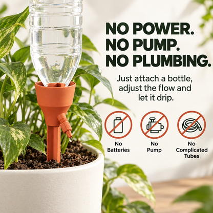 Go on Vacation. Your Plants Won't Even Notice