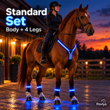 Blue / Standard Set (Body + 4 Legs)