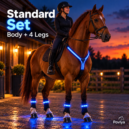 LED Horse Safety Light Set ✨ Stay Visible on Every Night Ride🐎