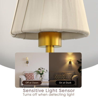 ✨ Decorative Dusk-to-Dawn Plug-In Night Light — 3000K Warm Glow & 0–100% Dimmable
