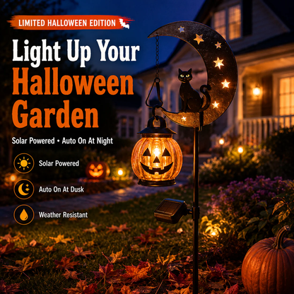 🔥Last Day 70% OFF - Halloween Garden Stake Light with Black Cat & Pumpkin