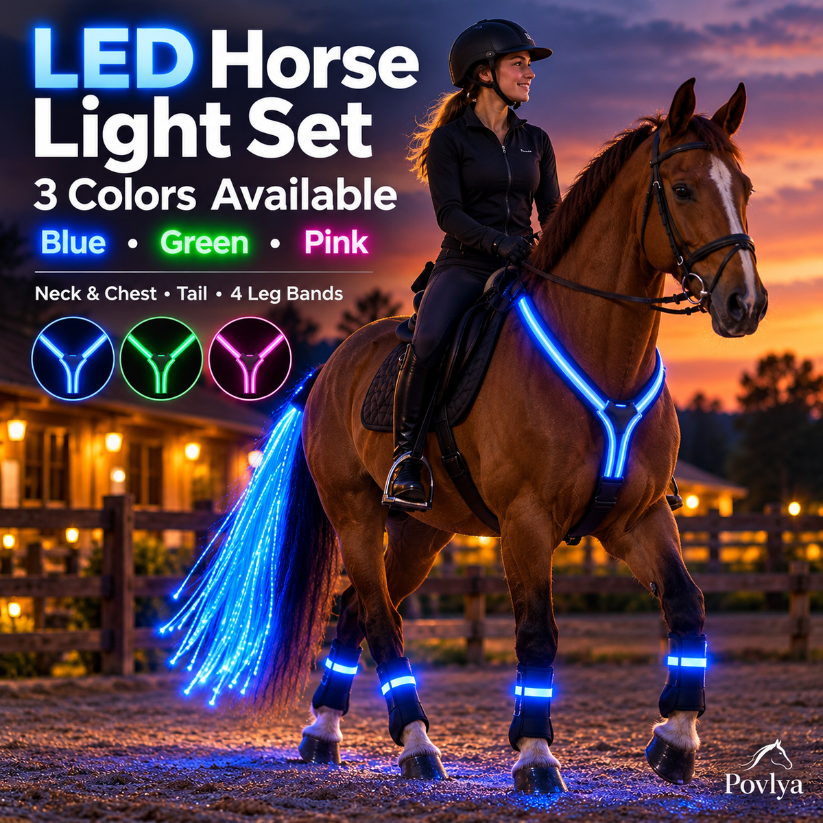 LED Horse Safety Light Set ✨ Stay Visible on Every Night Ride🐎