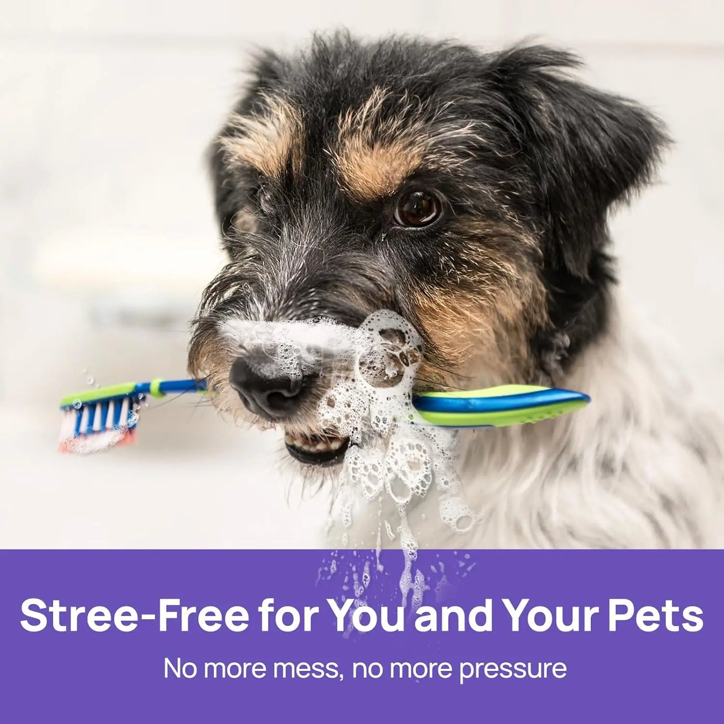 Plainlygoods™ 🍃No-Brushing Oral Care Spray for Dogs & Cats
