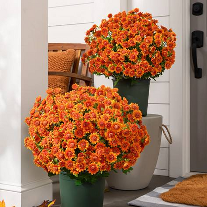 💥Limited stock 🌼- Artificial Outdoor Sunset Mums Flowers - UV resistant, Waterproof, Windproof