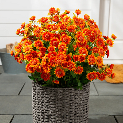 💥Limited stock 🌼- Artificial Outdoor Sunset Mums Flowers - UV resistant, Waterproof, Windproof